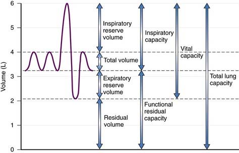 Pulmonary Function Testing | Basicmedical Key