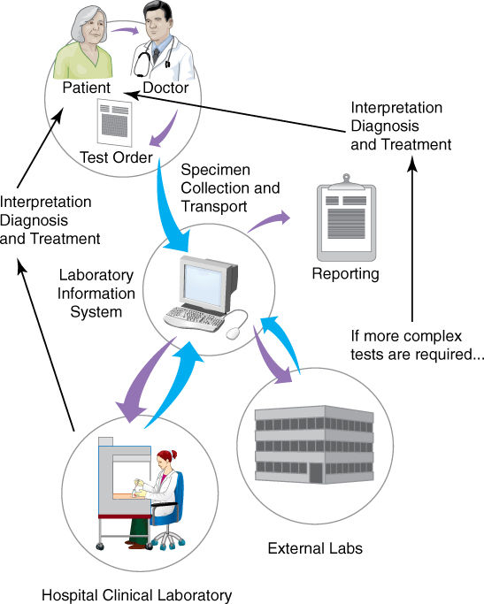 Laboratory Diagnosis Of Viral Diseases And Working With Viruses In The ...