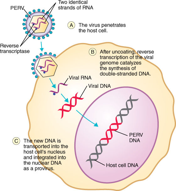 The History of Medicine, Clinical Trials, Gene Therapy, and ...