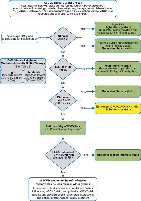 Pulmonary And Critical Care Medicine Summary | Basicmedical Key