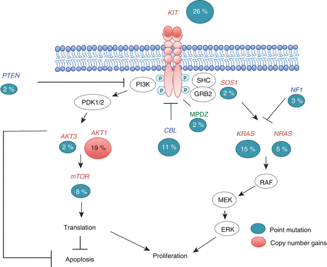 Germ Cell Tumors From A Developmental Perspective: Cells Of Origin ...