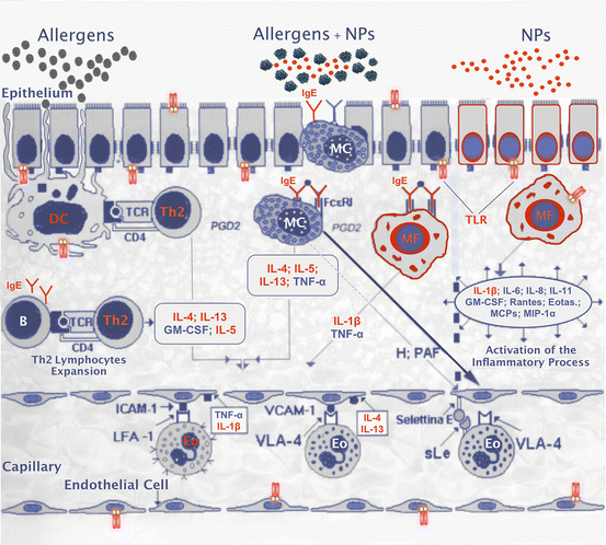 Engineered Nanomaterials And Occupational Allergy | Basicmedical Key