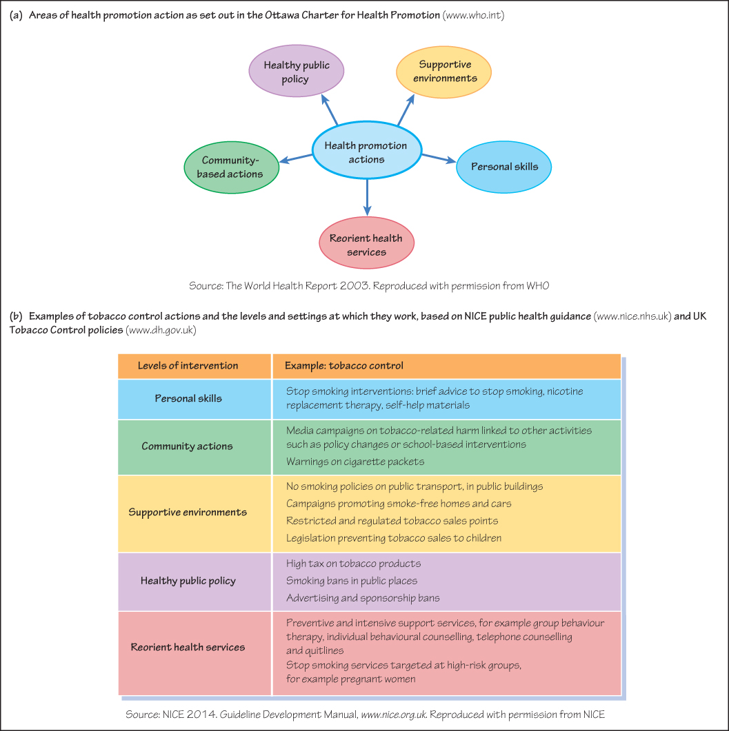 Health Promotion | Basicmedical Key