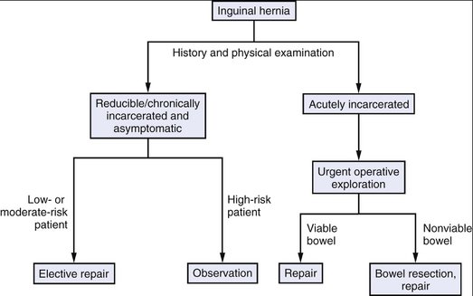 Inguinal Hernia Repair | Basicmedical Key