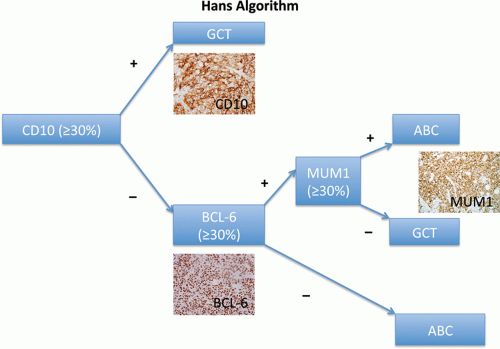 Cutaneous Involvement In Systemic Diffuse Large B-Cell Lymphomas ...