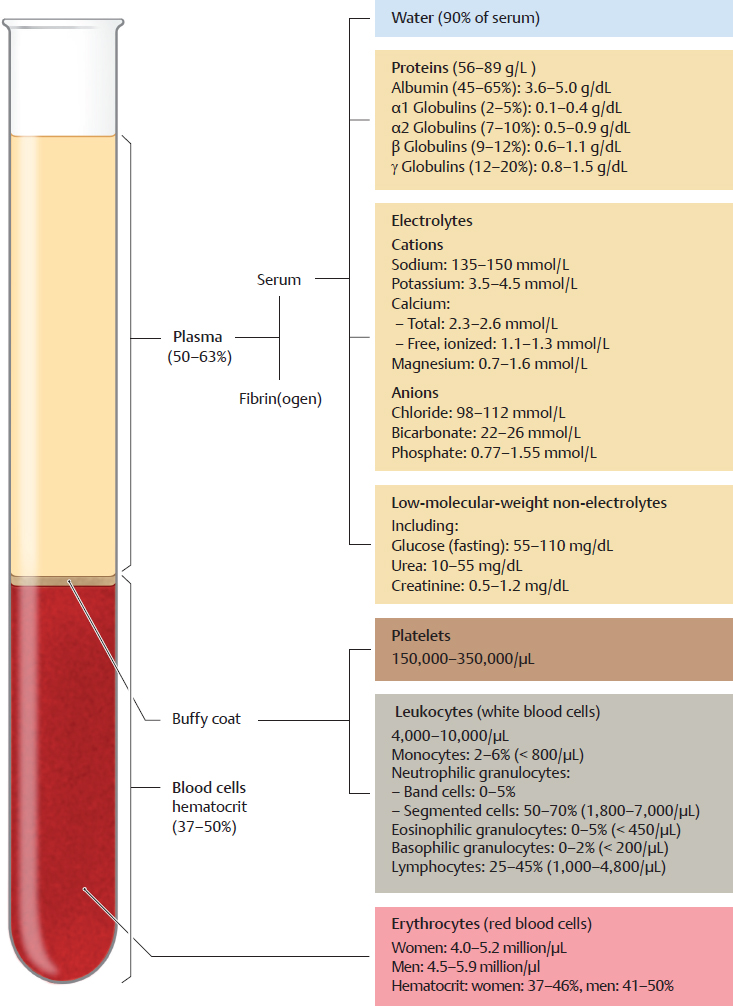 Blood | Basicmedical Key