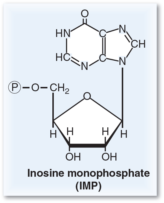 Purine And Pyrimidine Metabolism | Basicmedical Key