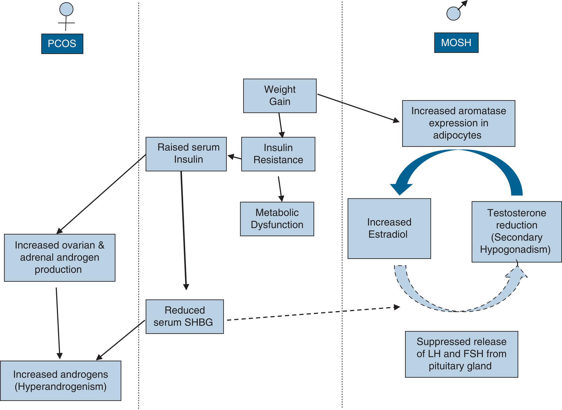 Metabolic Outcomes Of Bariatric Surgery | Basicmedical Key