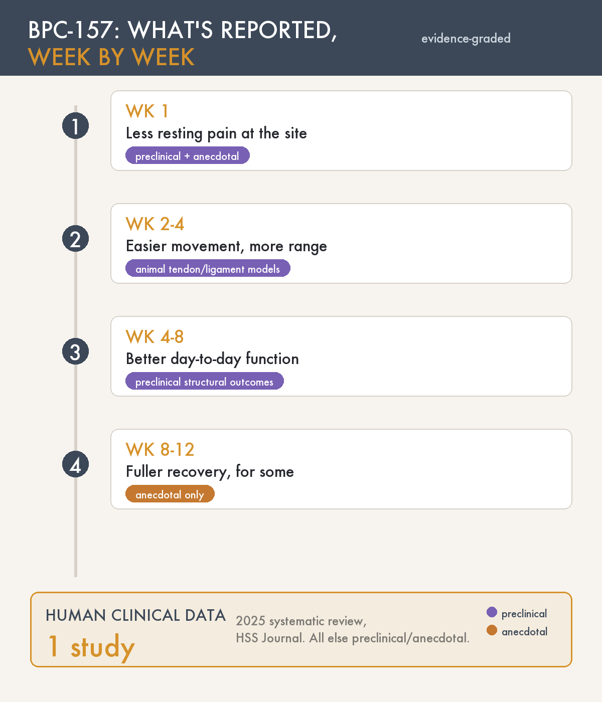 BPC-157 Before and After: A Realistic Healing Timeline & What Results to Expect (2026)